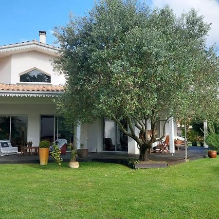 Agreable Maison Sur Le Bassin D'Arcachon Andernos-les-Bains Eksteriør bilde