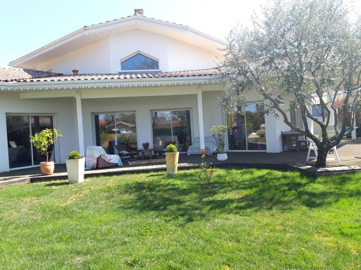 Agreable Maison Sur Le Bassin D'Arcachon Andernos-les-Bains Eksteriør bilde