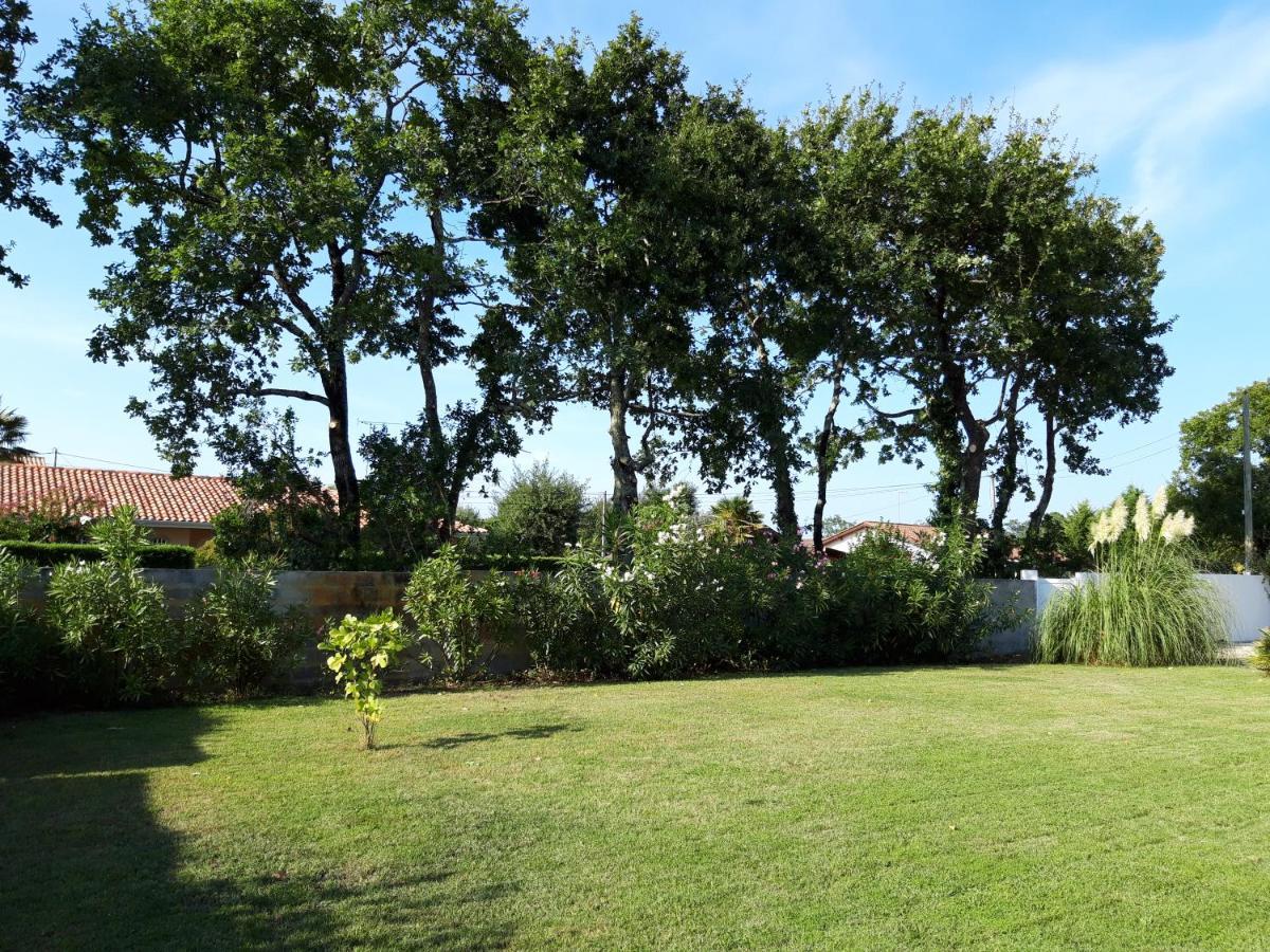 Agreable Maison Sur Le Bassin D'Arcachon Andernos-les-Bains Eksteriør bilde