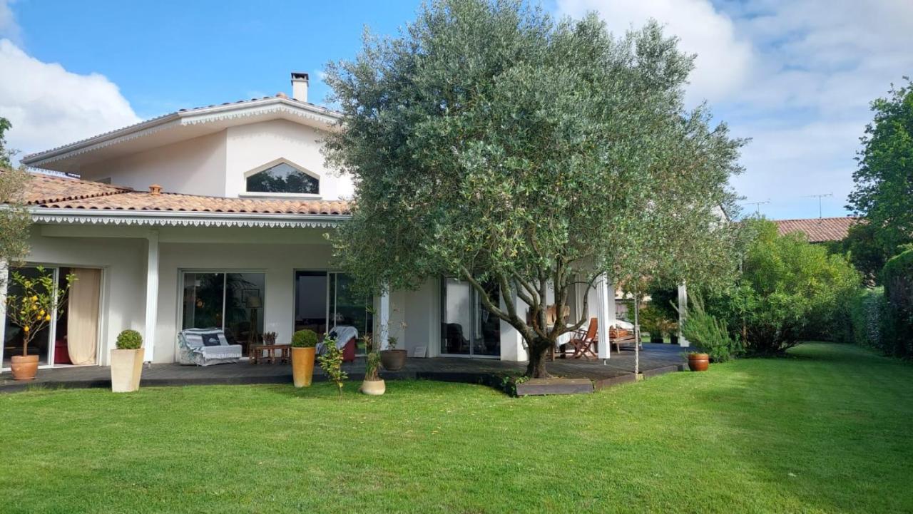 Agreable Maison Sur Le Bassin D'Arcachon Andernos-les-Bains Eksteriør bilde